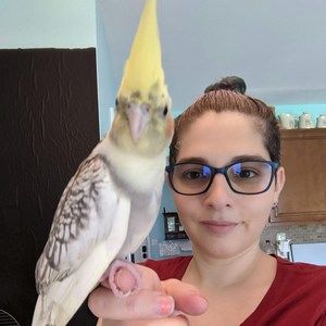 Meet your Posher, Ann